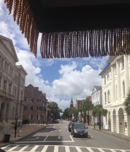 Another carriage tour!