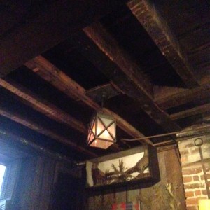 downstairs at The Olde Pink House.  so rustic.