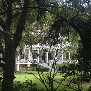 sketchy through the trees picture of The Big Chill House